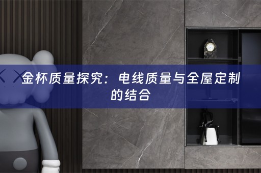金杯质量探究：电线质量与的结合