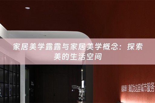 家居美学露露与家居美学概念：探索美的生活空间