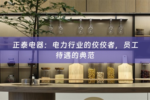 正泰电器：电力行业的佼佼者，员工待遇的典范