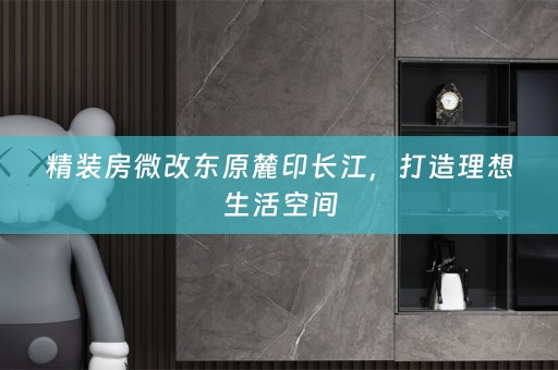 精装房微改东原麓印长江，打造理想生活空间