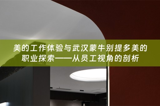 美的工作体验与武汉蒙牛别提多美的职业探索——从员工视角的剖析