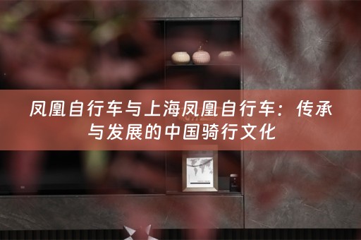 凤凰自行车与上海凤凰自行车：传承与发展的中国骑行文化
