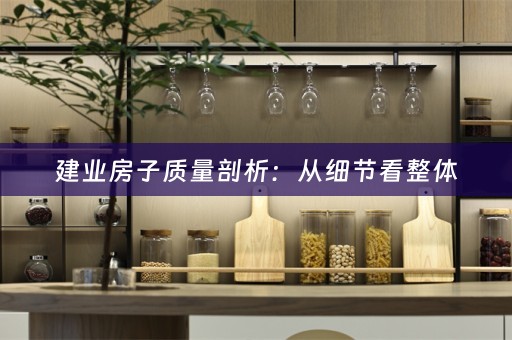 建业房子质量剖析：从细节看整体