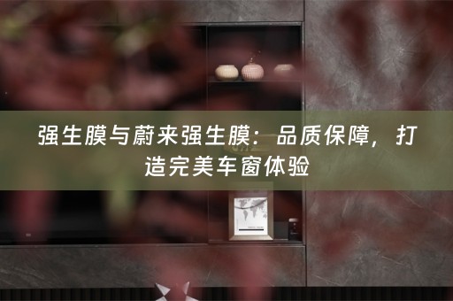 强生膜与蔚来强生膜：品质保障，打造完美车窗体验