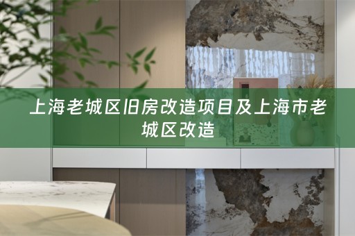 上海老城区旧房改造项目及上海市老城区改造