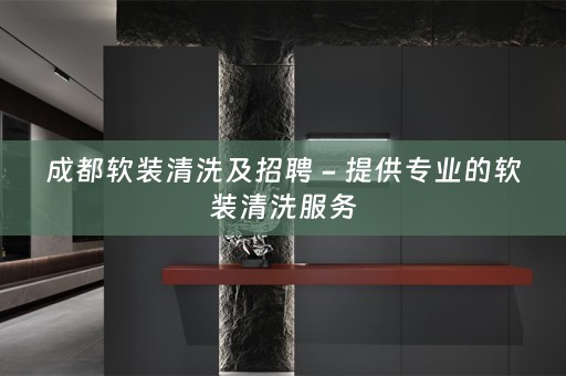 成都清洗服务