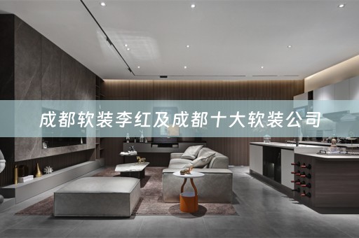 成都公司