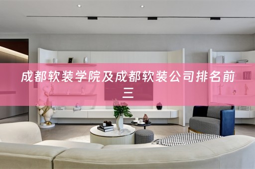 成都公司排名前三