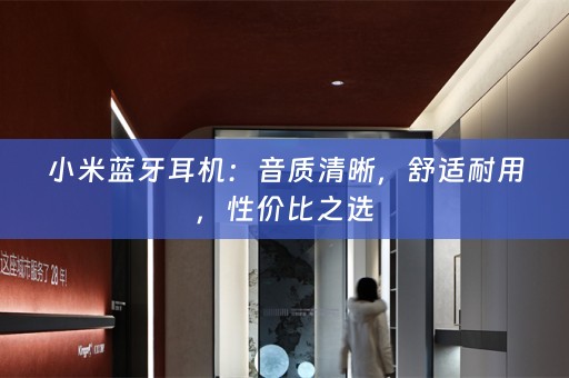 小米蓝牙耳机：音质清晰，舒适耐用，性价比之选