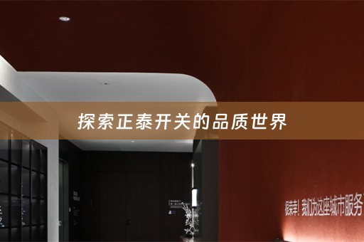 探索正泰开关的品质世界