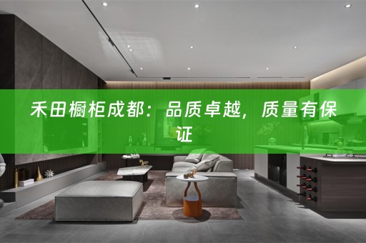 禾田橱柜成都：品质卓越，质量有保证