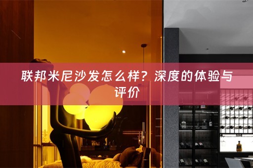 联邦米尼沙发怎么样？深度的体验与评价