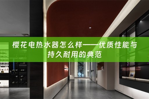 樱花电热水器怎么样——优质性能与持久耐用的典范