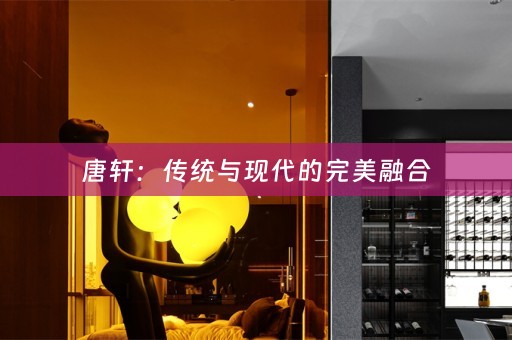 唐轩：传统与现代的完美融合