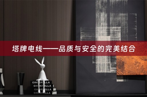 塔牌电线——品质与安全的完美结合