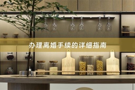 办理离婚手续的详细指南