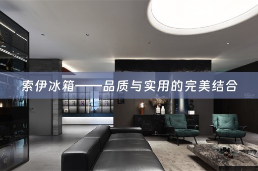 索伊冰箱——品质与实用的完美结合