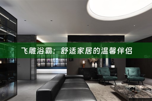 飞雕浴霸：舒适家居的温馨伴侣