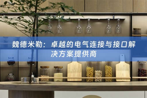 魏德米勒：卓越的电气连接与接口解决方案提供商