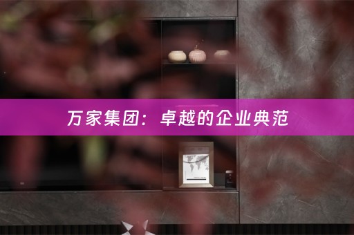 万家集团：卓越的企业典范