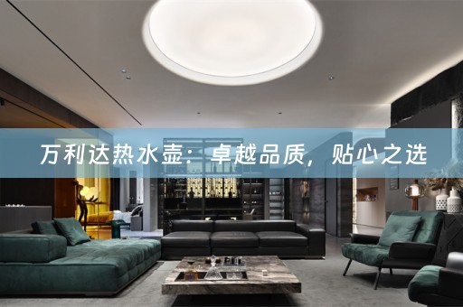 万利达热水壶：卓越品质，贴心之选