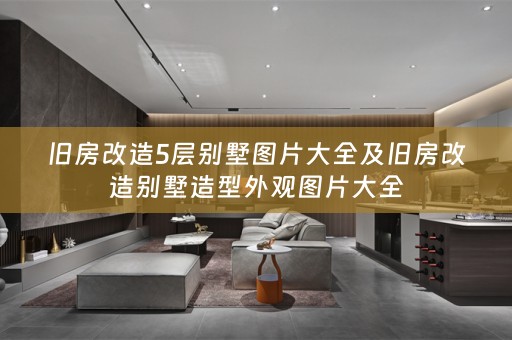 旧房改造5层别墅图片大全及旧房改造别墅造型外观图片大全