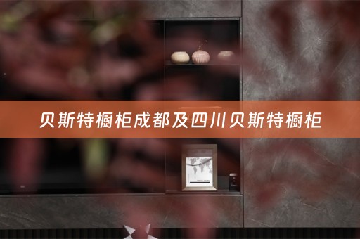 贝斯特橱柜成都及四川贝斯特橱柜