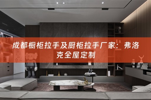 成都橱柜拉手及厨柜拉手厂家：弗洛克