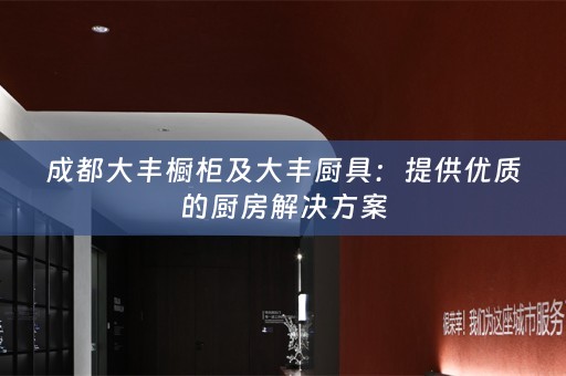 成都大丰橱柜及大丰厨具：提供优质的厨房解决方案