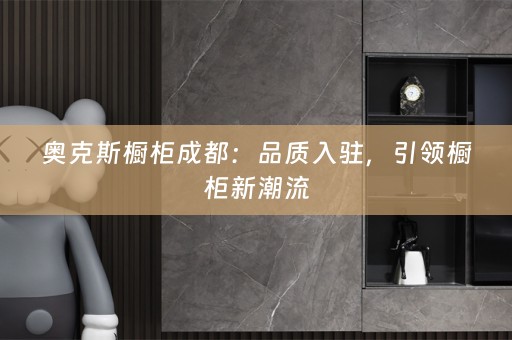 奥克斯橱柜成都：品质入驻，引领橱柜新潮流