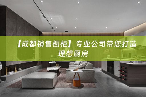 【成都销售橱柜】专业公司带您打造理想厨房