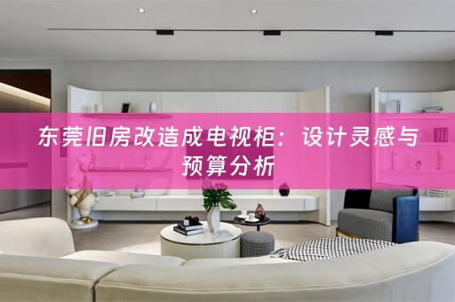 东莞旧房改造成电视柜：设计灵感与预算分析