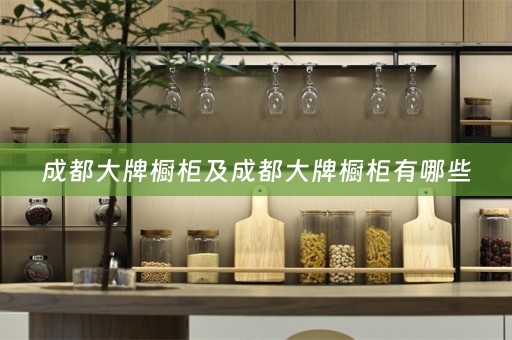 成都大牌橱柜及成都大牌橱柜有哪些