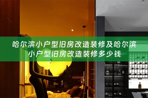 哈尔滨小户型旧房改造装修及哈尔滨小户型旧房改造装修多少钱