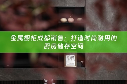 金属橱柜成都销售：打造时尚耐用的厨房储存空间
