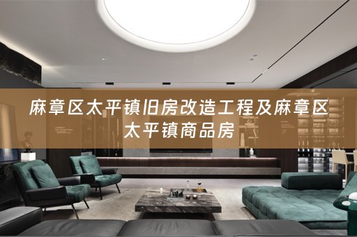 麻章区太平镇旧房改造工程及麻章区太平镇商品房