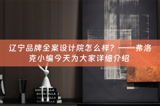 辽宁品牌全案设计院怎么样？——弗洛克小编今天为大家详细介绍 