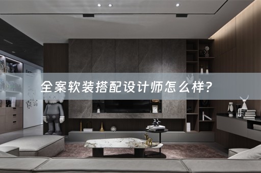 全案搭配设计师怎么样？ 