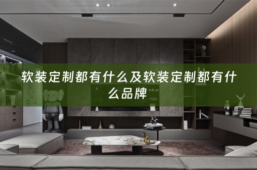 定制都有什么品牌 
