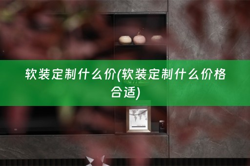 定制什么价格合适)