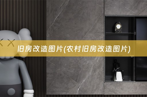 旧房改造图片(农村旧房改造图片)