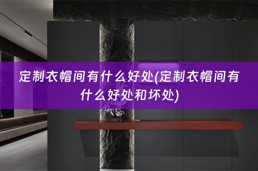 定制衣帽间有什么好处(定制衣帽间有什么好处和坏处)