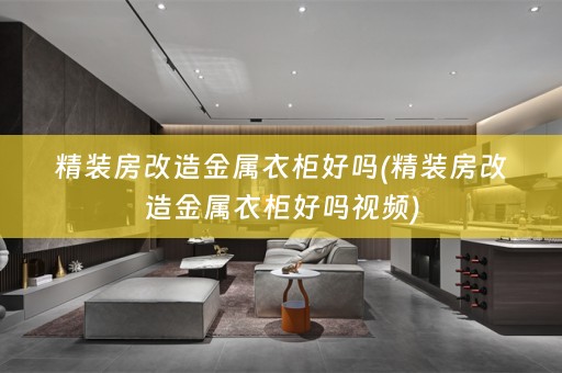 精装房改造金属衣柜好吗(精装房改造金属衣柜好吗视频)