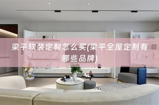 梁平定制怎么买(梁平全屋定制有哪些品牌)