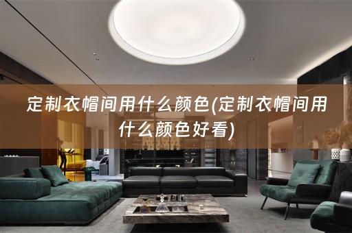 定制衣帽间用什么颜色(定制衣帽间用什么颜色好看)