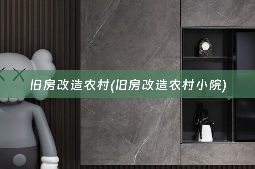 旧房改造农村(旧房改造农村小院)