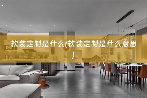 定制是什么意思)