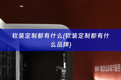 定制都有什么品牌)