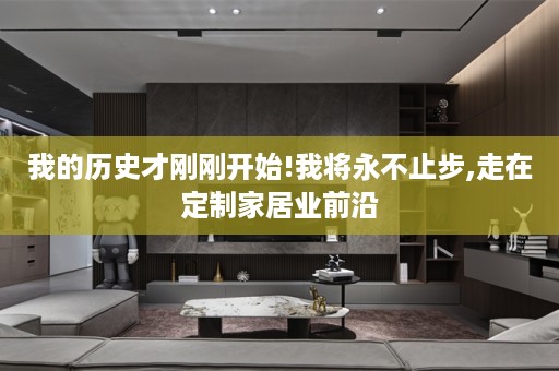 我的历史才刚刚开始!我将永不止步,走在定制家居业前沿