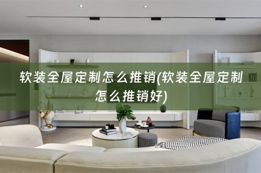 全屋定制怎么推销好)